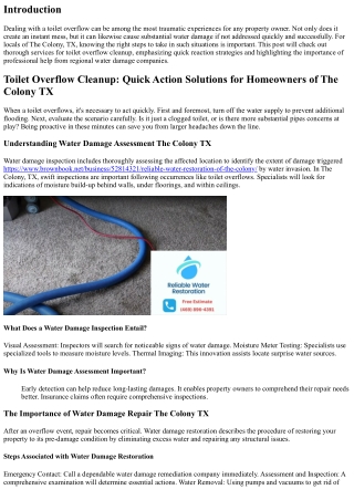 Toilet Overflow Clean-up: Quick Response Solutions for Citizens of The Colony TX