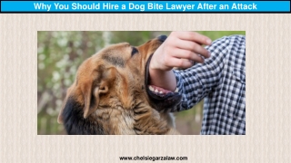 Why You Should Hire a Dog Bite Lawyer After an Attack