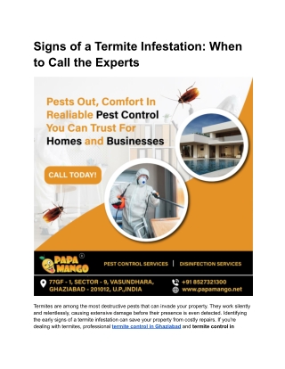 Signs of a Termite Infestation_ When to Call the Experts