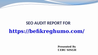 SEO Audit Report 1