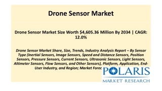 Drone Sensor Market