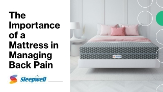 The Importance of a Mattress in Managing Back Pain