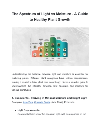 Balancing Light & Moisture | A Guide to Healthy Plant Growth