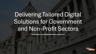 Delivering Tailored Digital Solutions for Government and Non-Profit Sectors (2)