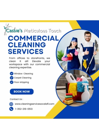 Commercial cleaning Services