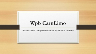 Business Travel Transportation Service By WPB Car and Limo