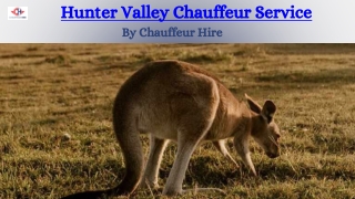 Hunter Valley Chauffeur Service
