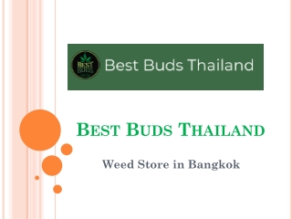 Best Buds - Weed Store in Bangkok