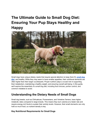 The Ultimate Guide to Small Dog Diet_ Ensuring Your Pup Stays Healthy and Happy