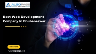 Best Web Development Company In Bhubaneswar