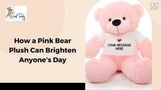 How a Pink Bear Plush Can Brighten Anyone's Day