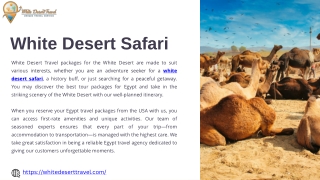Have You Experienced the Wonders of the White Desert Safari?