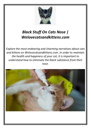 Black Stuff On Cats Nose | Welovecatsandkittens.com