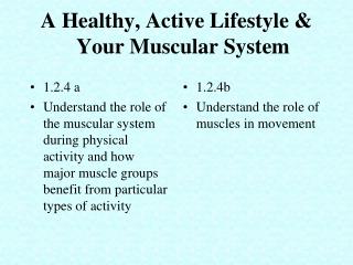 A Healthy, Active Lifestyle &amp; Your Muscular System