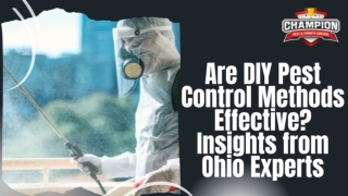 Are DIY Pest Control Methods Effective Insights from Ohio Experts