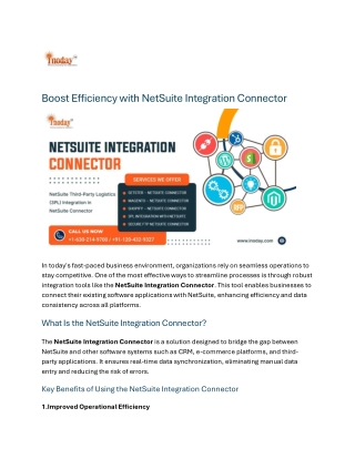 Boost Efficiency with NetSuite Integration Connector