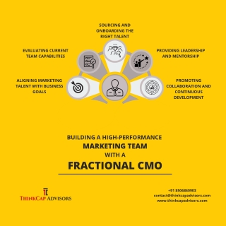 How a Fractional CMO Can Build a Successful Marketing Team