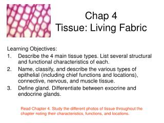 Chap 4 Tissue: Living Fabric