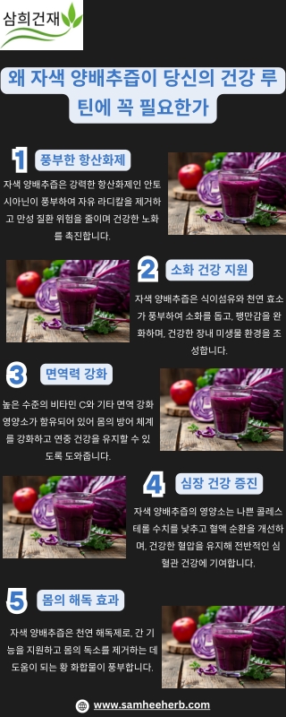 자주 양배추즙이 건강 루틴에 꼭 필요한 이유