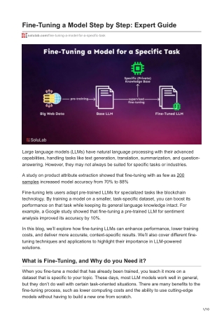 Fine-Tuning a Model Step by Step Expert Guide