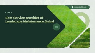 Best Service provider of Landscape Maintenance Dubai