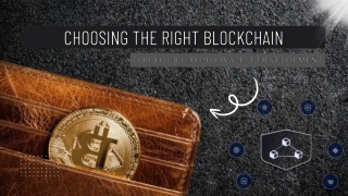 Choosing the Right Blockchain for Your Crypto Wallet Development