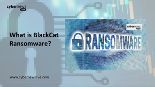 What is BlackCat Ransomware?