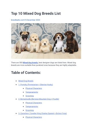 Top 10 Mixed Dog Breeds List