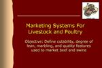 Marketing Systems For Livestock and Poultry
