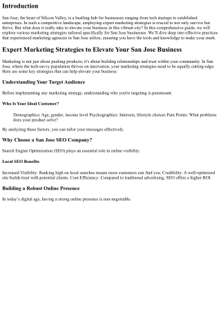 Expert Marketing Strategies to Elevate Your San Jose Business