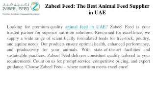 The Best Animal Feed Supplier in UAE