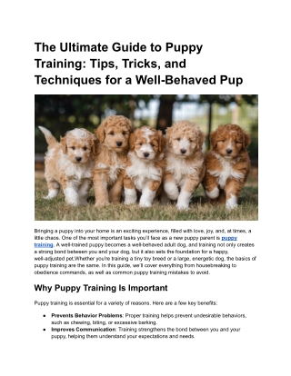 The Ultimate Guide to Puppy Training_ Tips, Tricks, and Techniques for a Well-Behaved Pup
