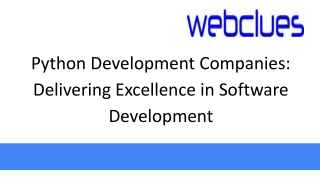 Python Development Companies Delivering Excellence in Software Development