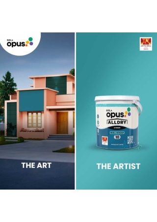 House Painting - Wall Paint And Wall Colour for Home - Birla Opus