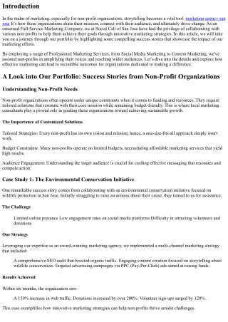 A Look into Our Portfolio: Success Stories from Non-Profit Organizations