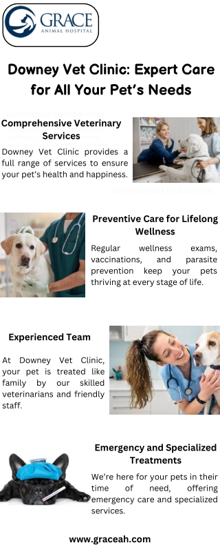 Downey Vet Clinic: Expert Care for All Your Pet’s Needs