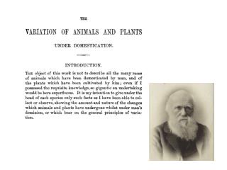 Timeline of plant domestication