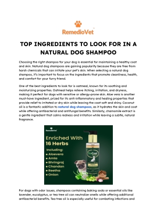 Top Ingredients to Look for in a Natural Dog Shampoo