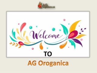 AG Organica Leading Manufacturer & Wholesale Supplier of Clove Oils