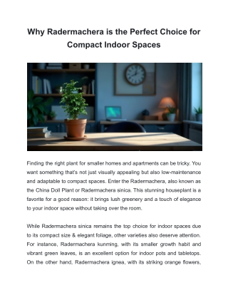Why Radermachera is the Perfect Choice for Compact Indoor Spaces