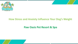 How Stress and Anxiety Can Impact Your Dog’s Weight