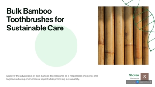 Bulk Bamboo Toothbrush Sustainable Oral Care