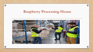 Reliable and Efficient Warehousing for Your Fashion Business