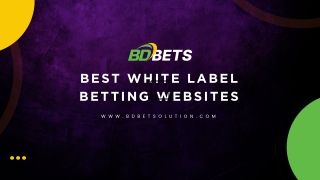 Best White Label Betting Websites