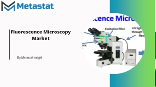 Fluorescence Microscopy Market