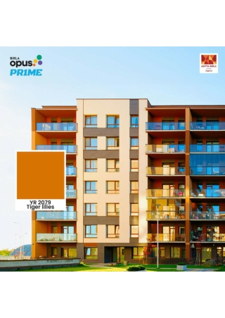 Premium Paint - Exterior Building Paint Solutions - Birla Opus Prime