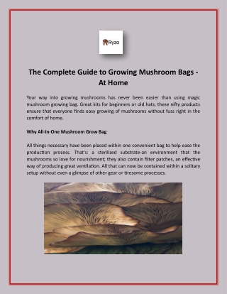 The Complete Guide to Growing Mushroom Bags - At Home