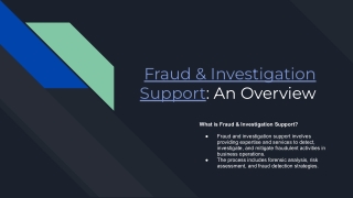 Fraud & Investigation Support_ An Overview