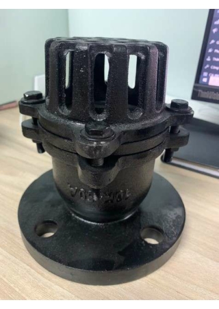 Rọ bơm gang JMV - vanbidien
