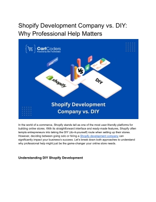 Shopify Development Company vs DIY